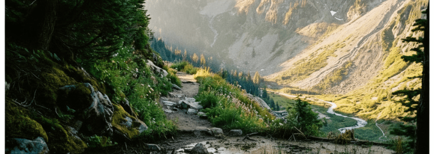 A narrow dirt hiking trail winds through wildflowers toward majestic, sunlit mountain peaks.