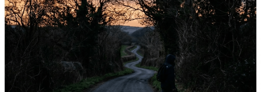 Person walking alone on a winding country road at dusk with bare trees around.